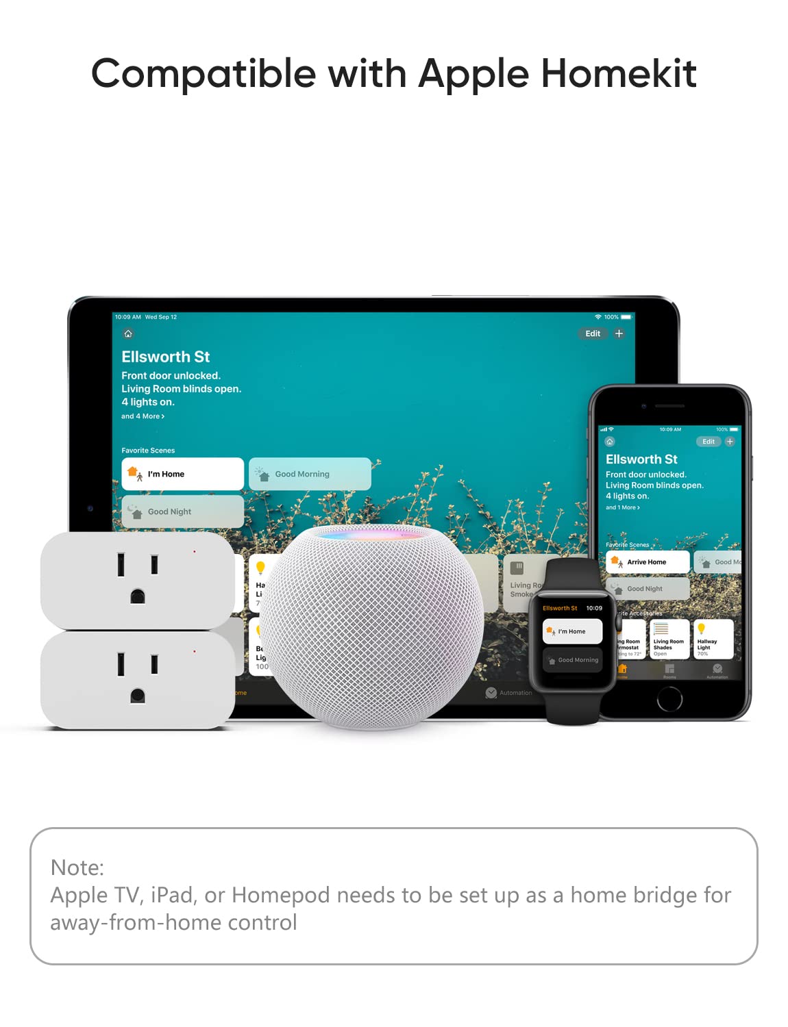 Enchufe Inteligente Smart Plug Wifi Apple Homekit Alexa Goog
